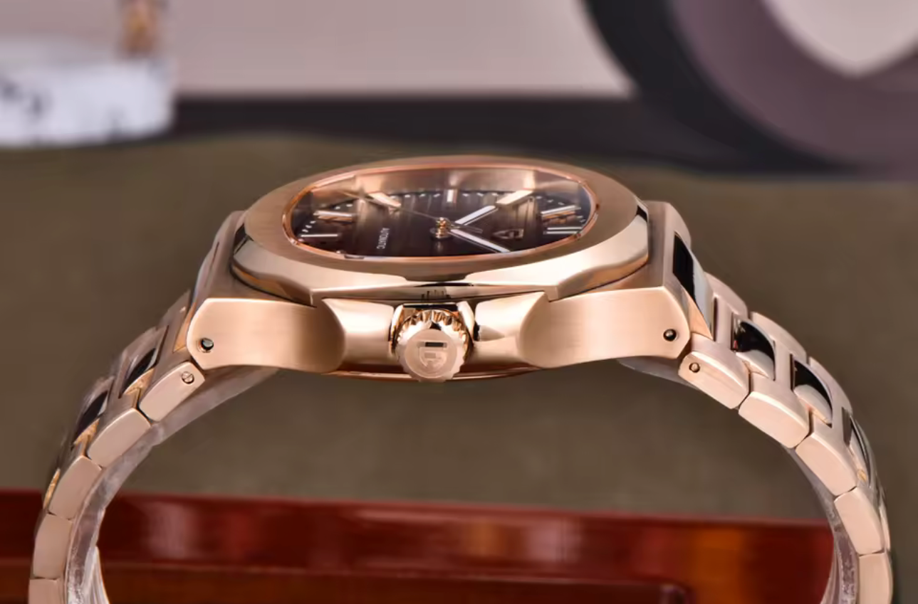Reloj Pagani Design PD-1728 AUTOMÁTICO para Hombre