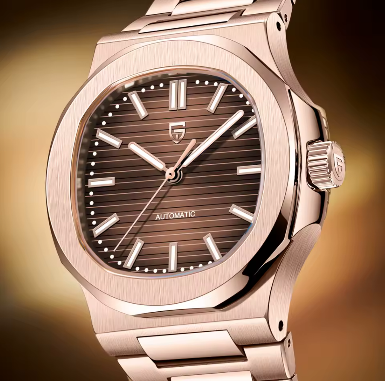 Reloj Pagani Design PD-1728 AUTOMÁTICO para Hombre