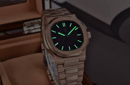 Reloj Pagani Design PD-1728 AUTOMÁTICO para Hombre